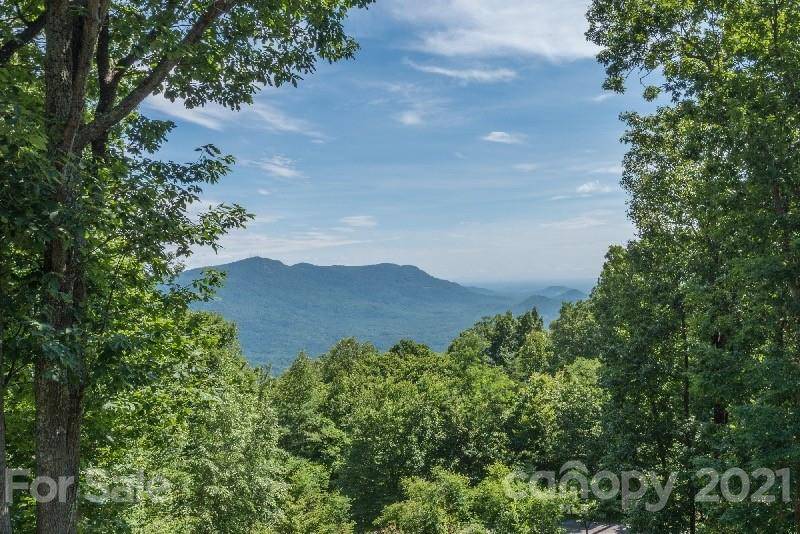 Tryon, NC 28782,385 Little Falls DR