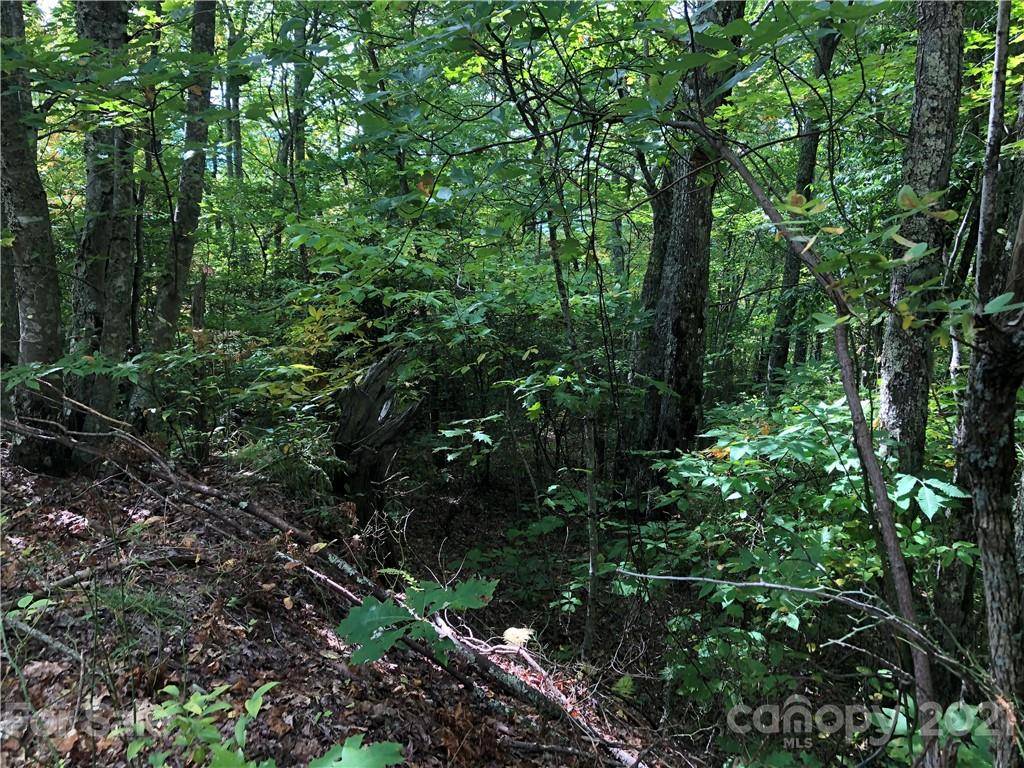 Maggie Valley, NC 28751,LOT 119 Cold Springs DR #119