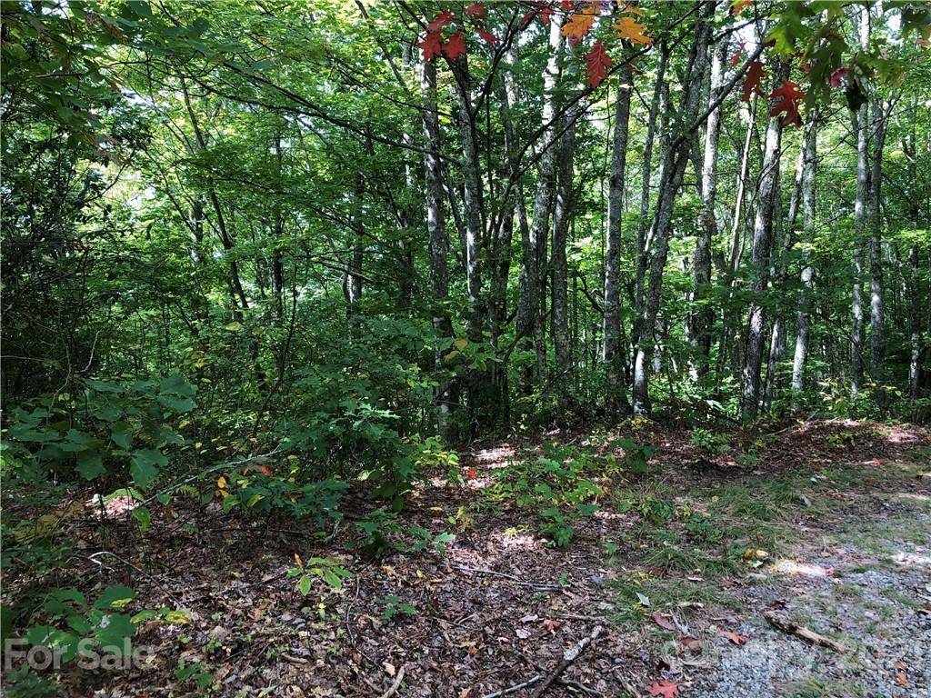 Maggie Valley, NC 28751,LOT 119 Cold Springs DR #119