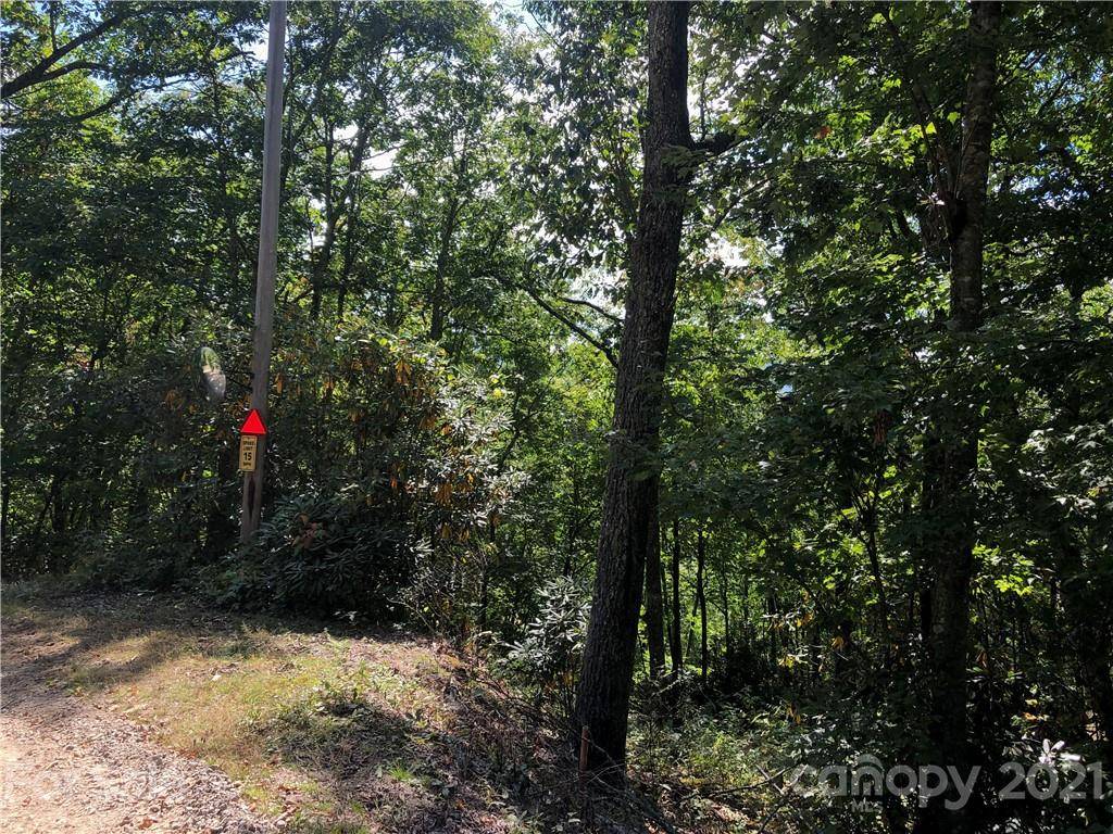 Maggie Valley, NC 28751,Lot 1 cold springs DR #1