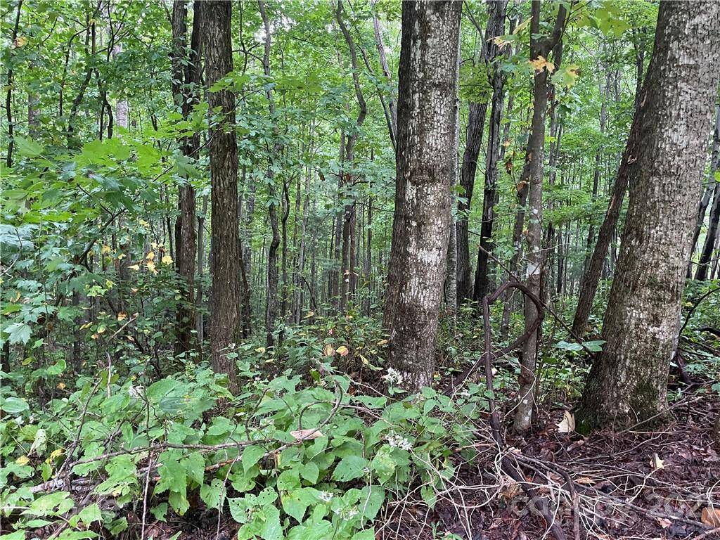Black Mountain, NC 28711,Lot 21 Feather Falls TRL