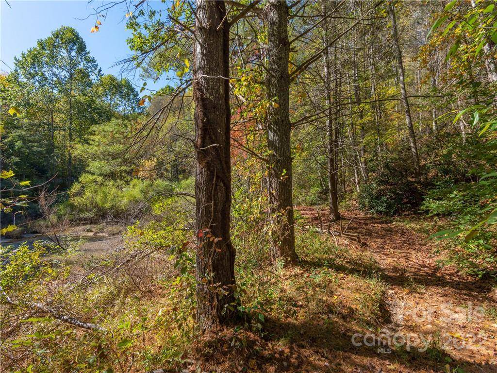 Waynesville, NC 28785,000 Fox Run RD