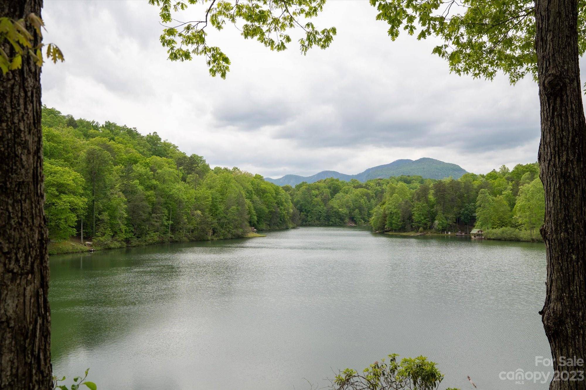 Lake Lure, NC 28746,387 Rainbow CIR #387