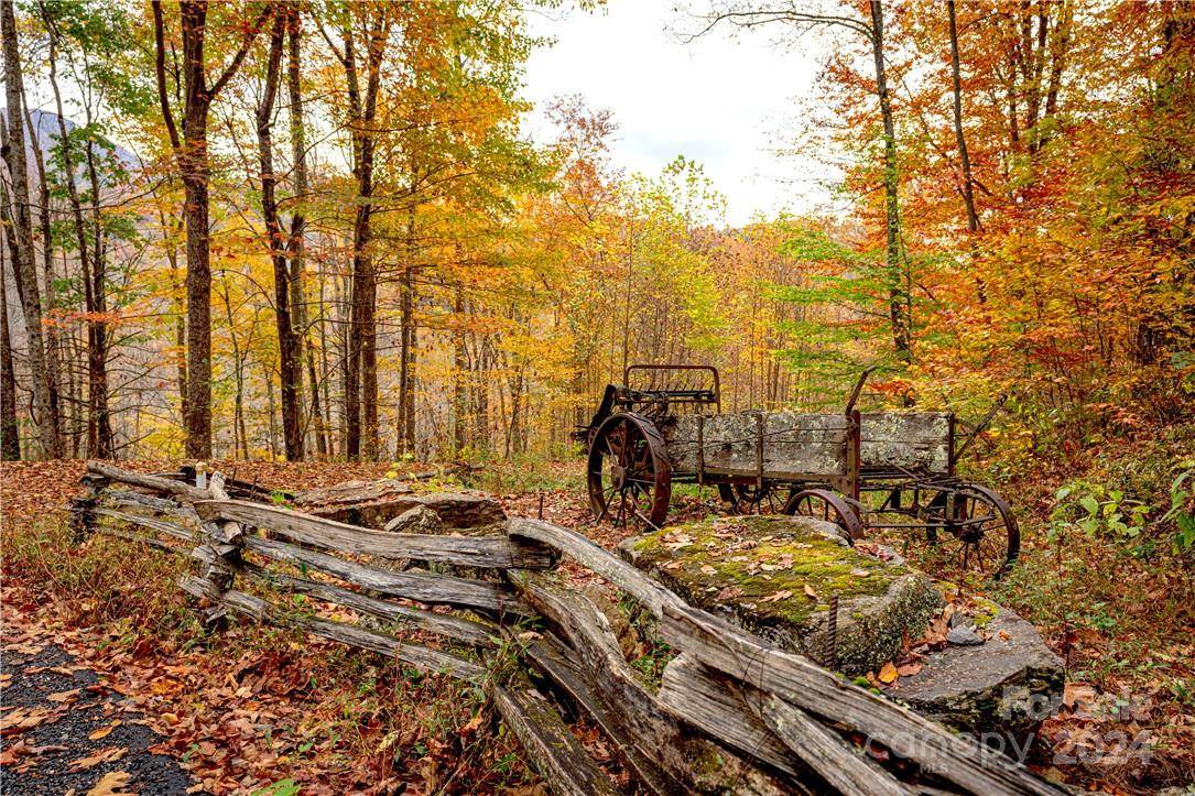 Maggie Valley, NC 28751,18 Sleeping Bear RDG #18