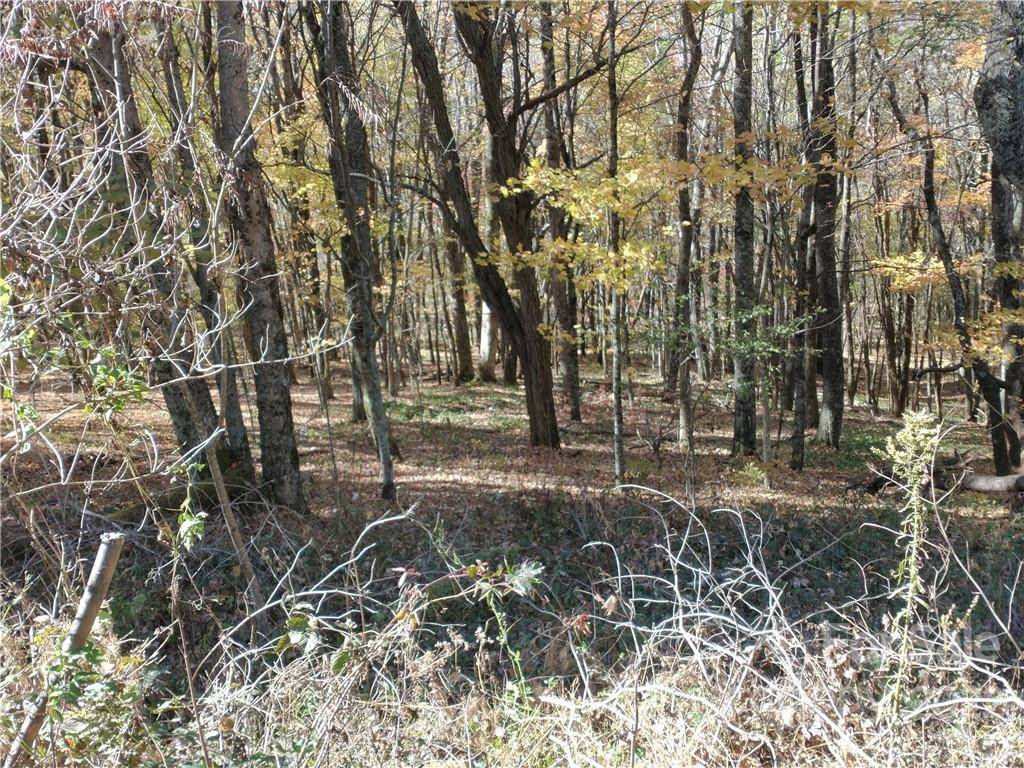 Mars Hill, NC 28754,Lot # 479 El Miner DR