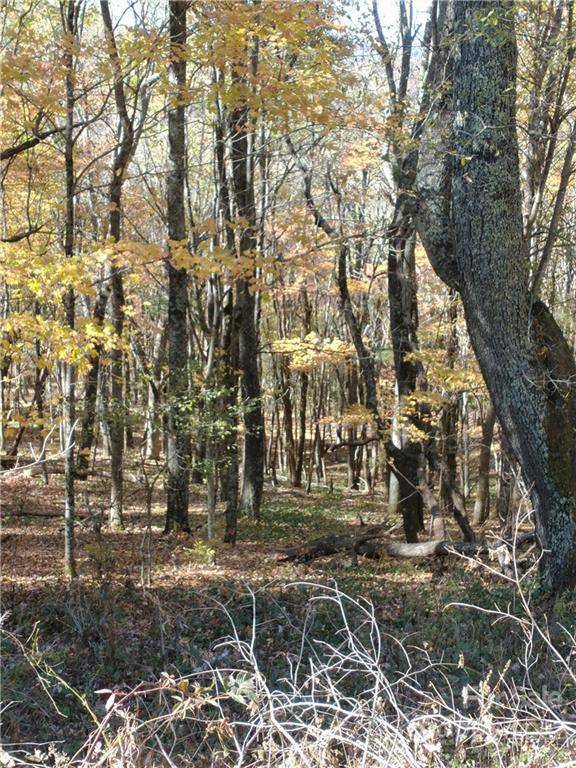 Mars Hill, NC 28754,Lot # 479 El Miner DR