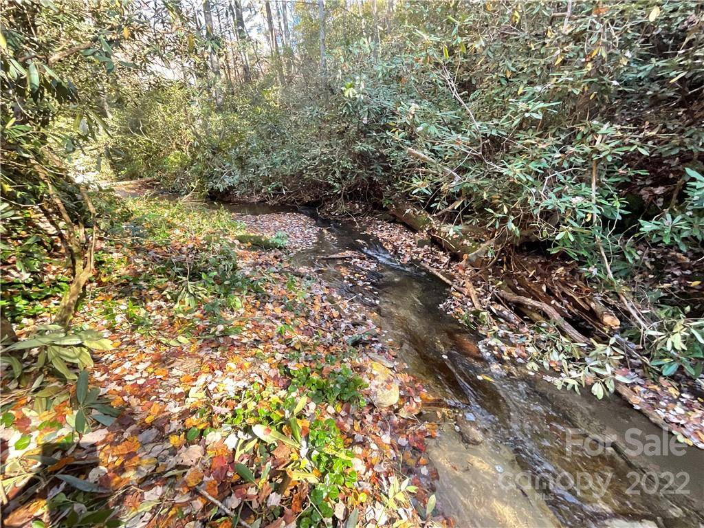 Brevard, NC 28712,Lot 16 Gastons Bee Gum RD