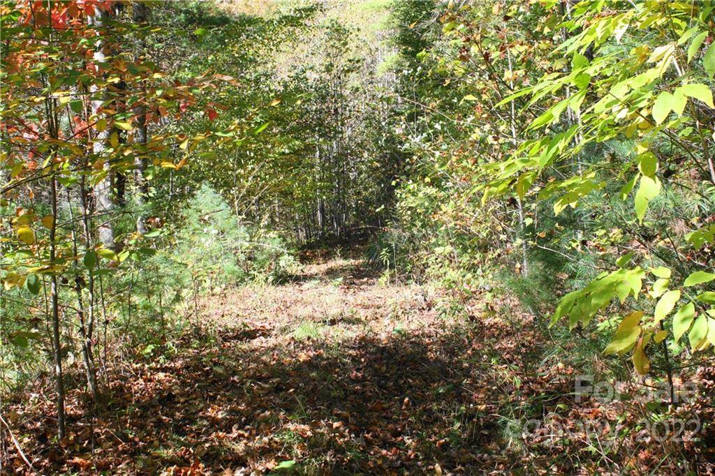 Marshall, NC 28753,444 Culvin Creek RD #145 ACRES