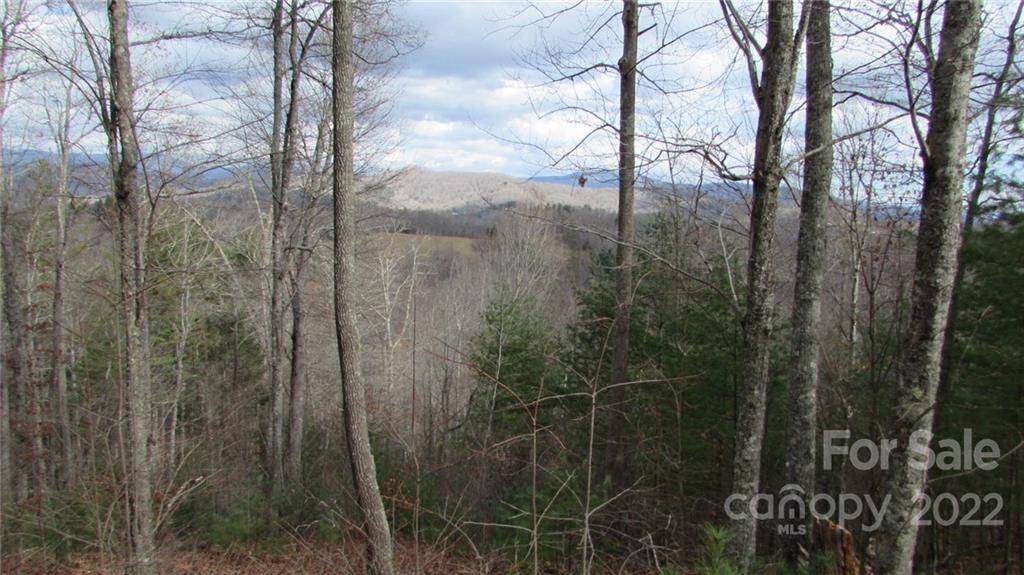 Burnsville, NC 28714,00 High Peak RDG #7