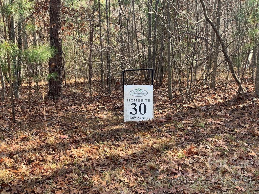 Mill Spring, NC 28756,Lot 30 S Cross Creek TRL #30