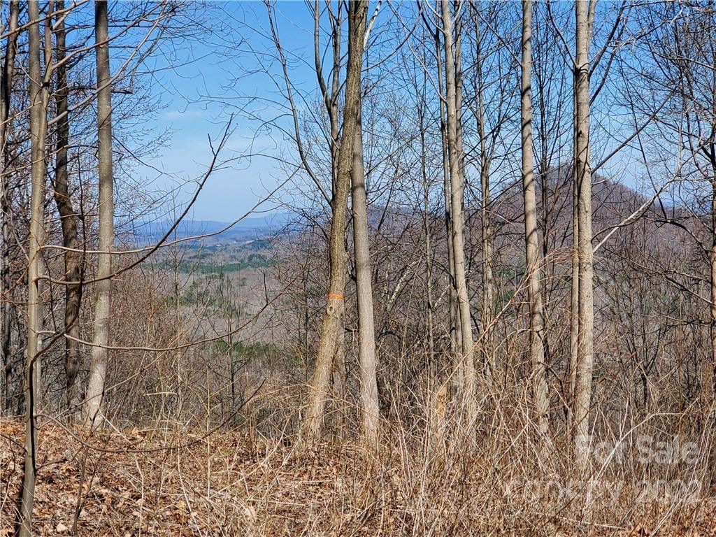 Columbus, NC 28722,00 Ragans PT #31