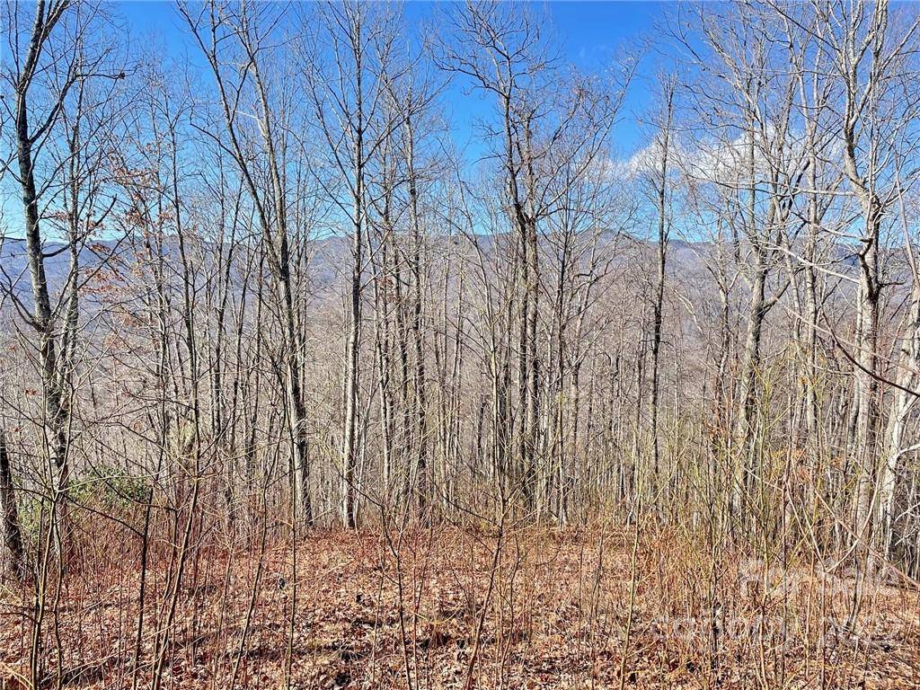 Sylva, NC 28779,112 Broomtail WAY #13