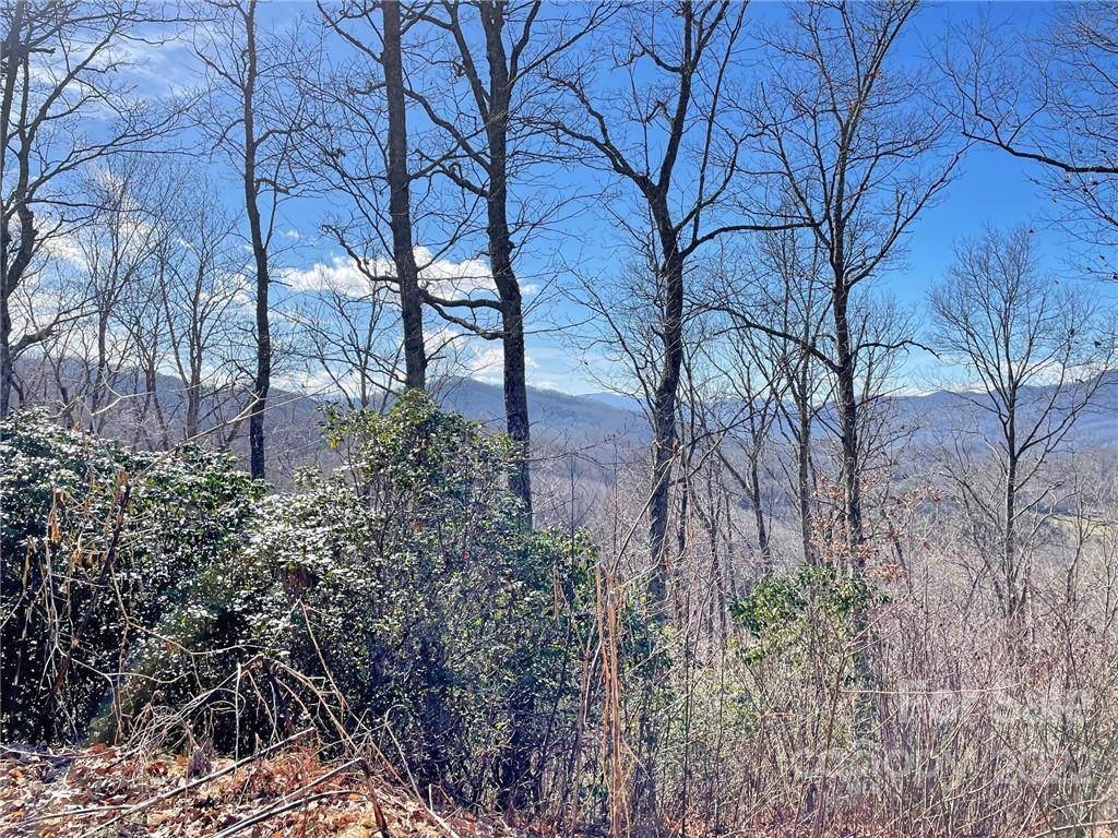 Sylva, NC 28779,112 Broomtail WAY #13