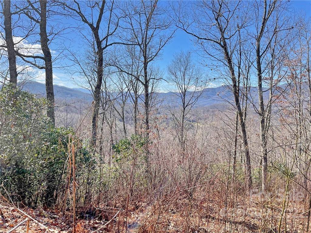 Sylva, NC 28779,112 Broomtail WAY #13