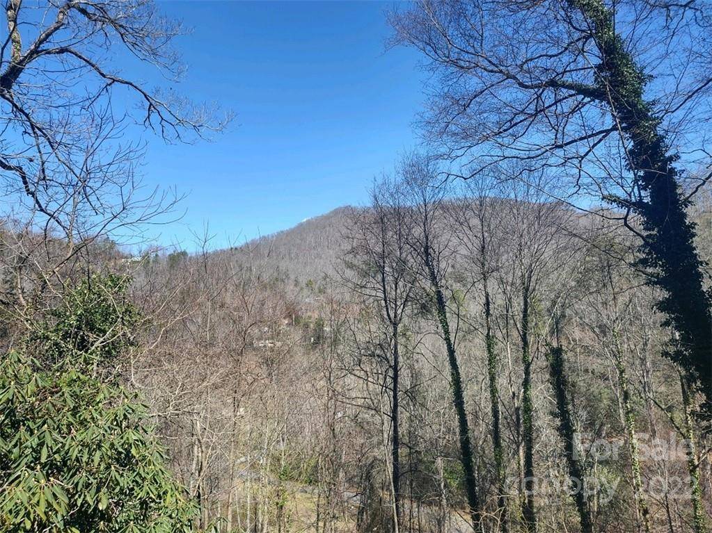 Sylva, NC 28779,180 Claude Cook RD