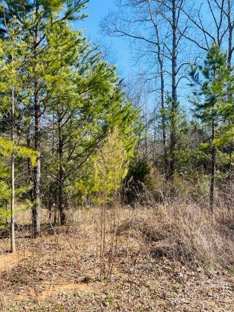 Connelly Springs, NC 28612,2906 Drummond ST