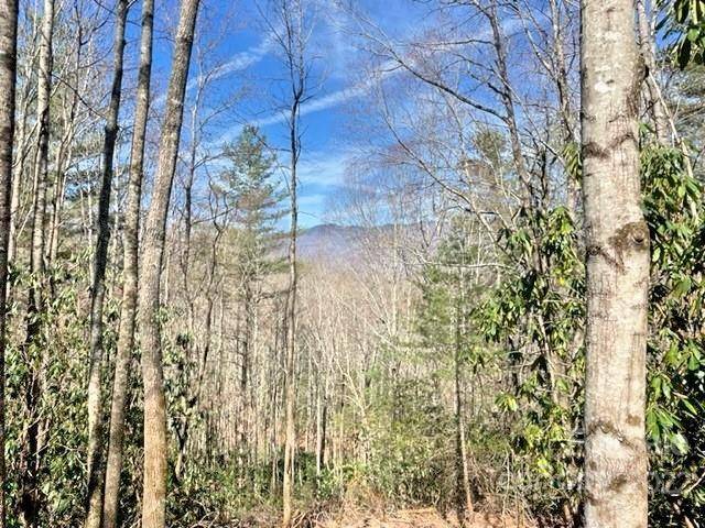 Sylva, NC 28779,5 Preserve RD #5