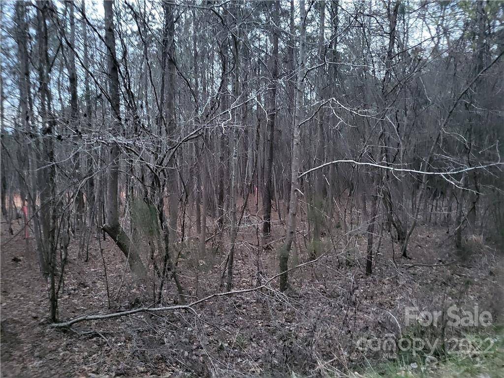 Winnsboro, SC 29180,Lot 1 & 2 Trade Mill CT