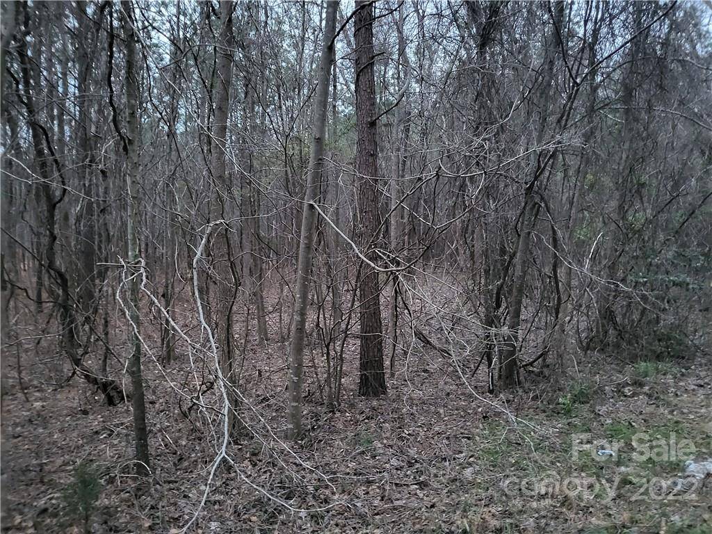 Winnsboro, SC 29180,Lot 1 & 2 Trade Mill CT