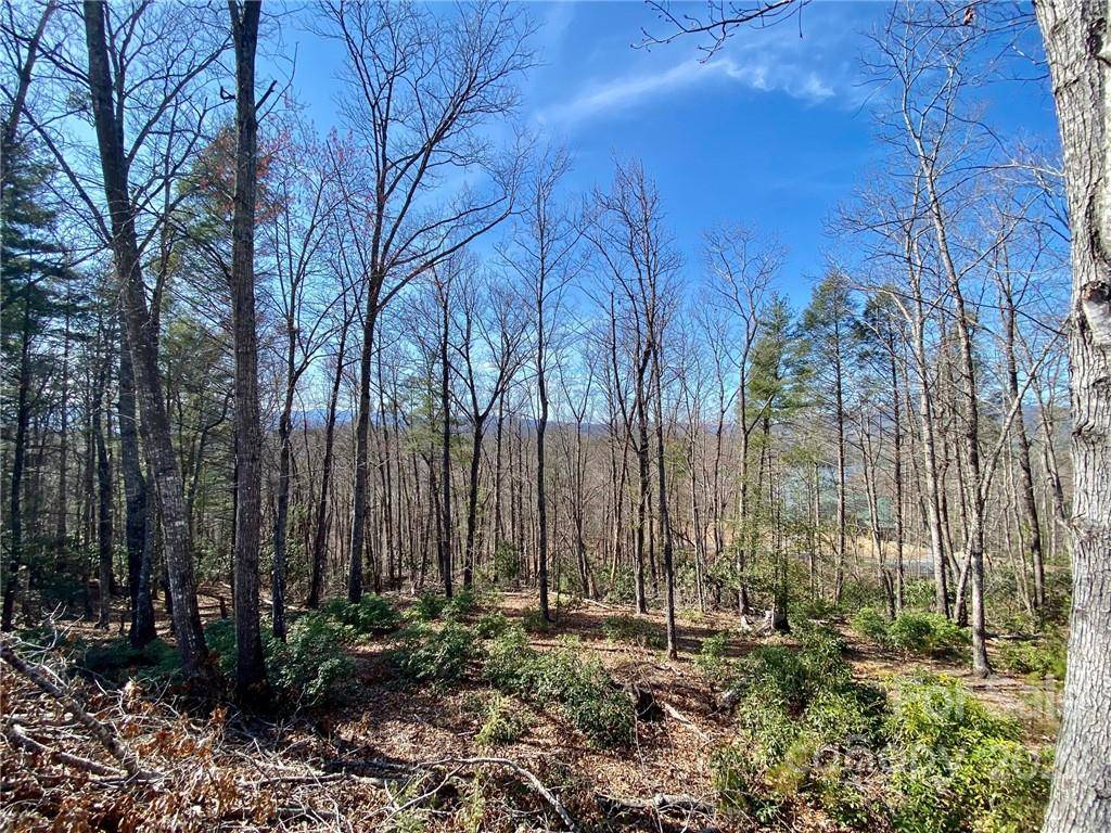 Nebo, NC 28761,Lot 33-11 High Trail DR #33-11