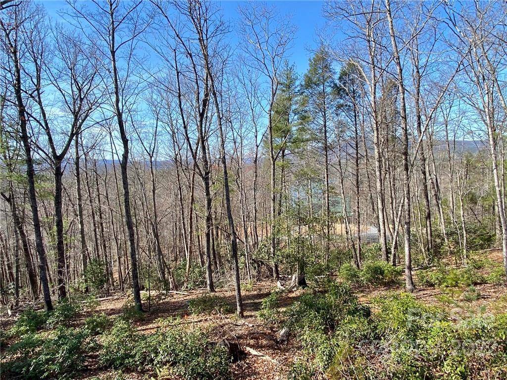 Nebo, NC 28761,Lot 33-11 High Trail DR #33-11