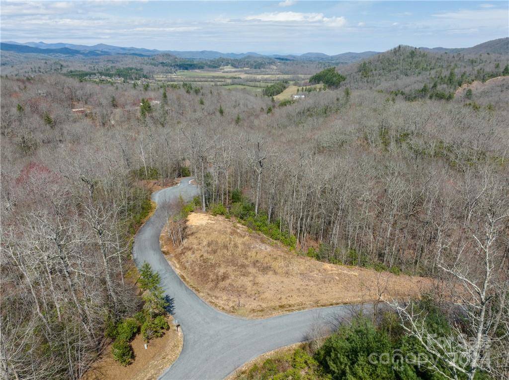 Brevard, NC 28712,32 Foxgrape LN