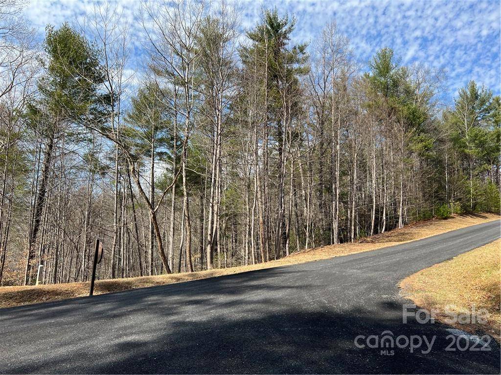 Nebo, NC 28761,000 Turning Leaf DR #166