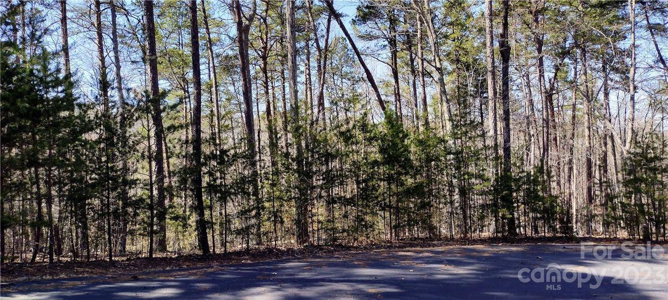 Nebo, NC 28761,Lot 137 Grindstone DR