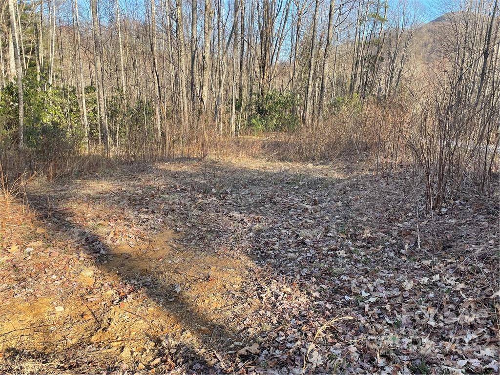 Waynesville, NC 28785,Lot 17 Cataloochee LN