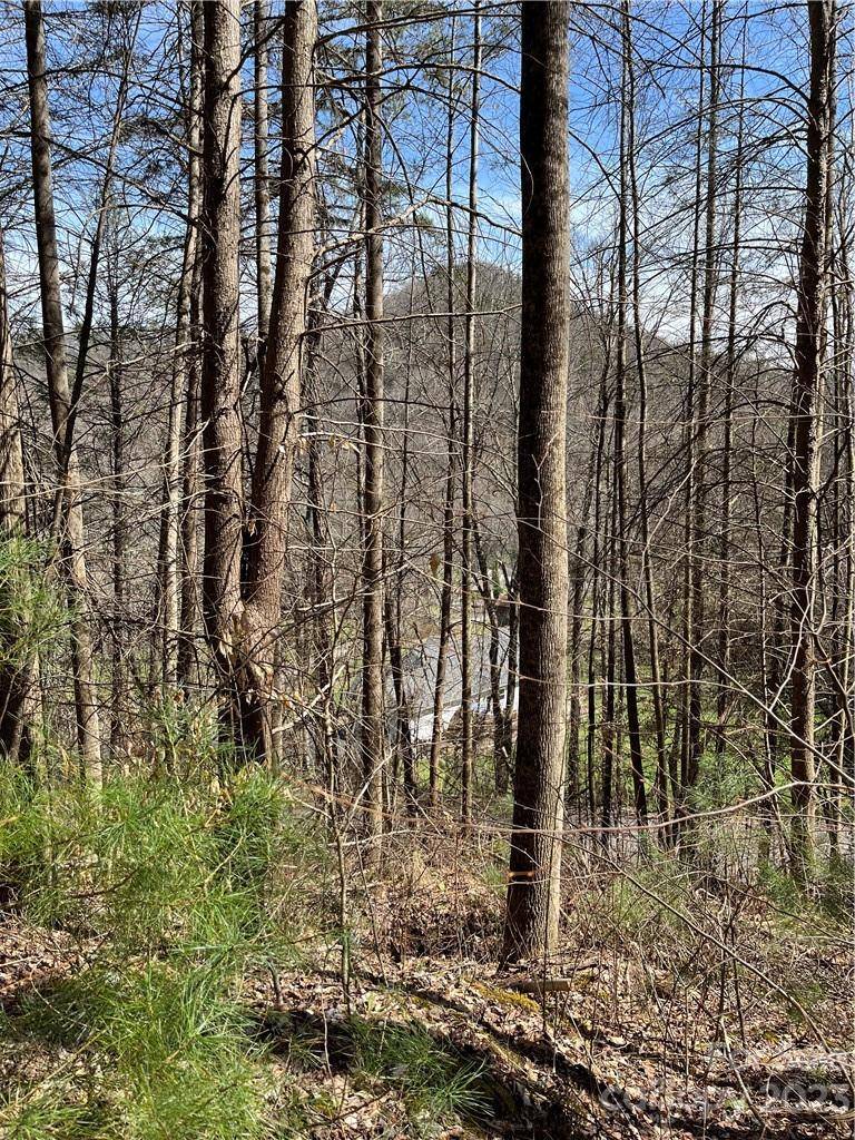 Mars Hill, NC 28754,00 Running Deer NW Running Deer LN #65