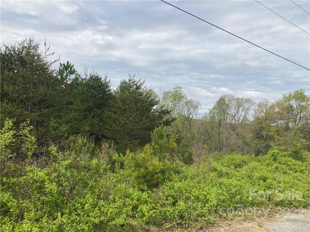 Connelly Springs, NC 28612,V/L Virginia RDG #56