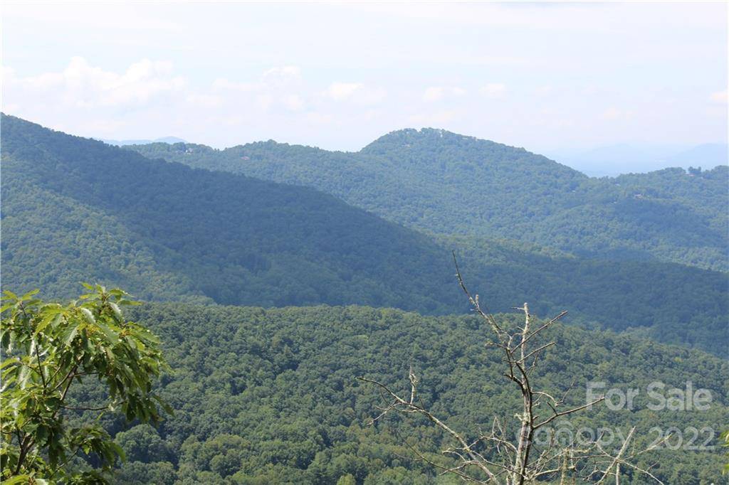 Asheville, NC 28804,0000 Elk Mountain Scenic HWY