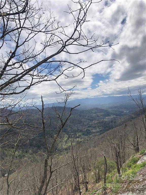 Asheville, NC 28804,0000 Elk Mountain Scenic HWY