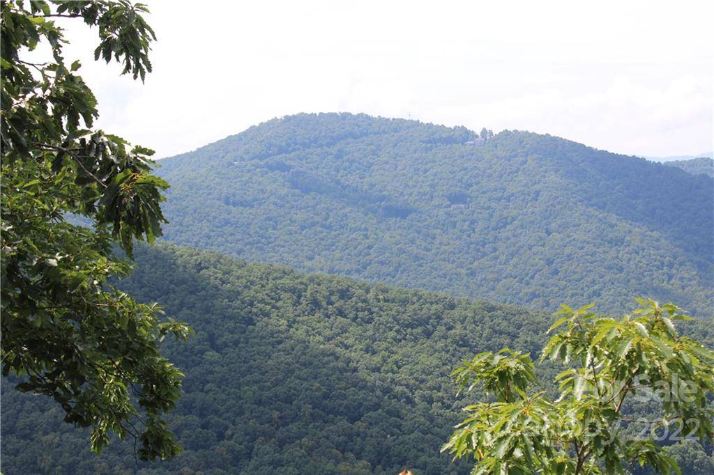 Asheville, NC 28804,0000 Elk Mountain Scenic HWY