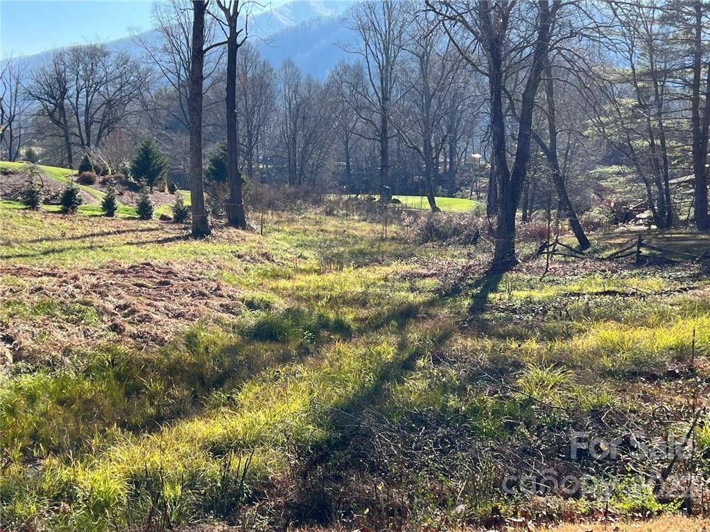 Canton, NC 28716,Lot-17B Country Club DR #B-17