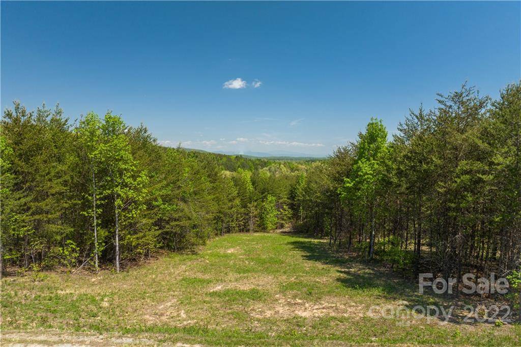 Nebo, NC 28761,11 Pleasant Ridge TRL #493