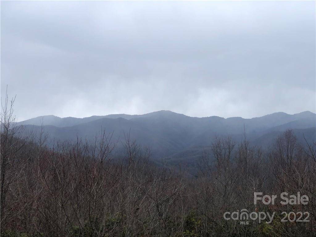 Sylva, NC 28779,Lot 252 Tote RD #252