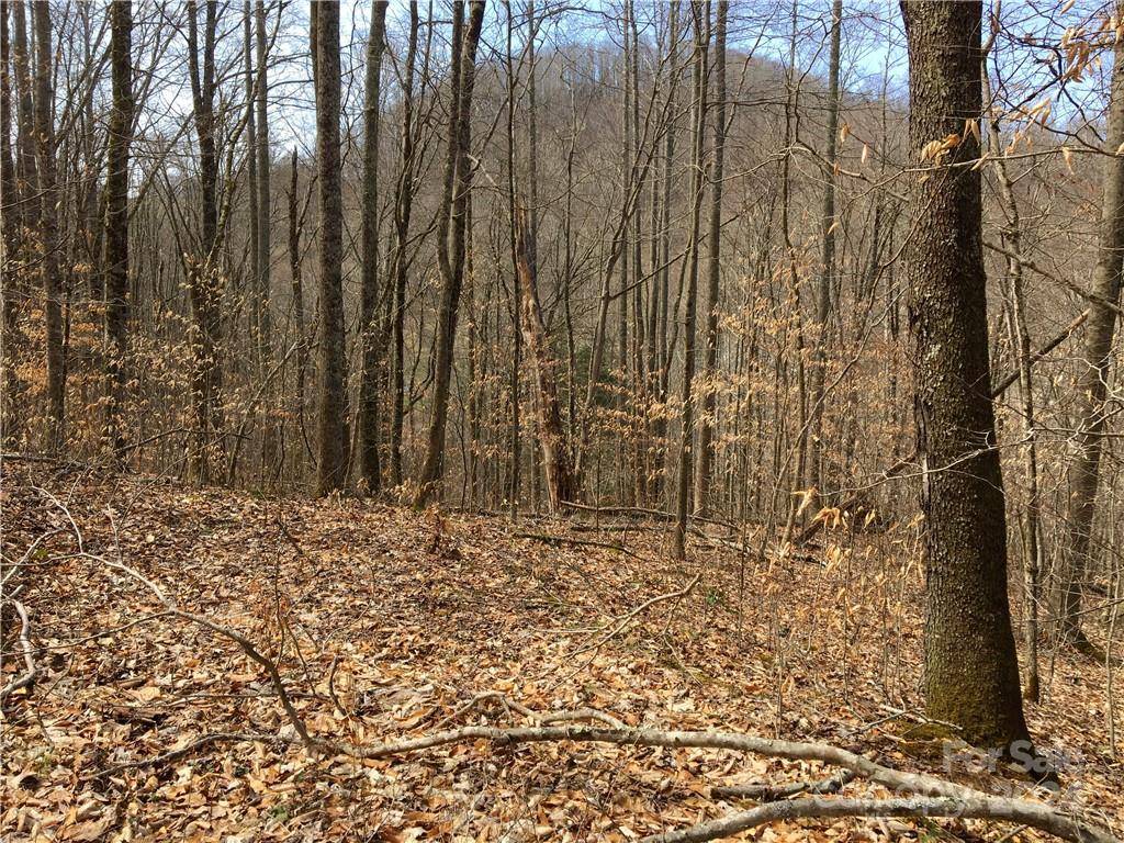 Mars Hill, NC 28754,TBD Fern Hill DR #28-29