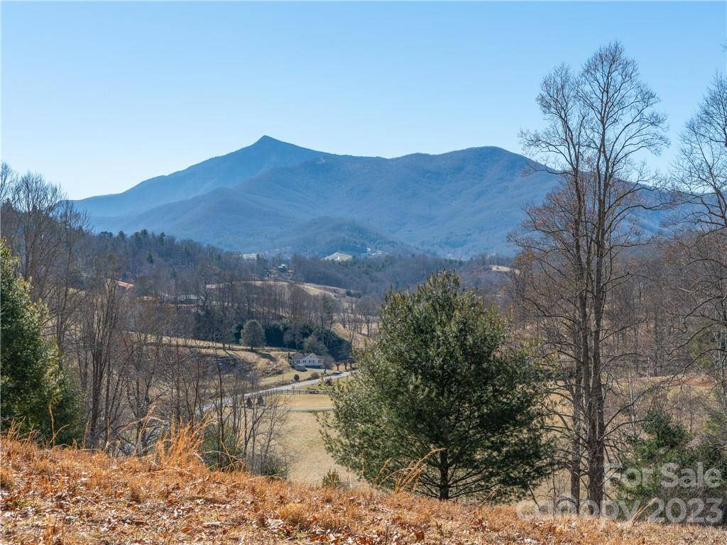 Burnsville, NC 28714,0 Locust Rough RD #Lot 1