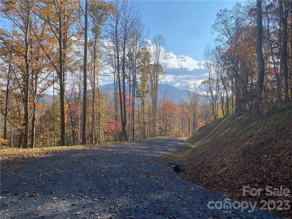 Burnsville, NC 28714,00 Locust Rough RD #Lot 2