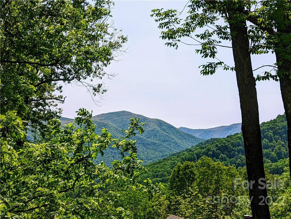 Maggie Valley, NC 28751,11 Trout Lily LN #11