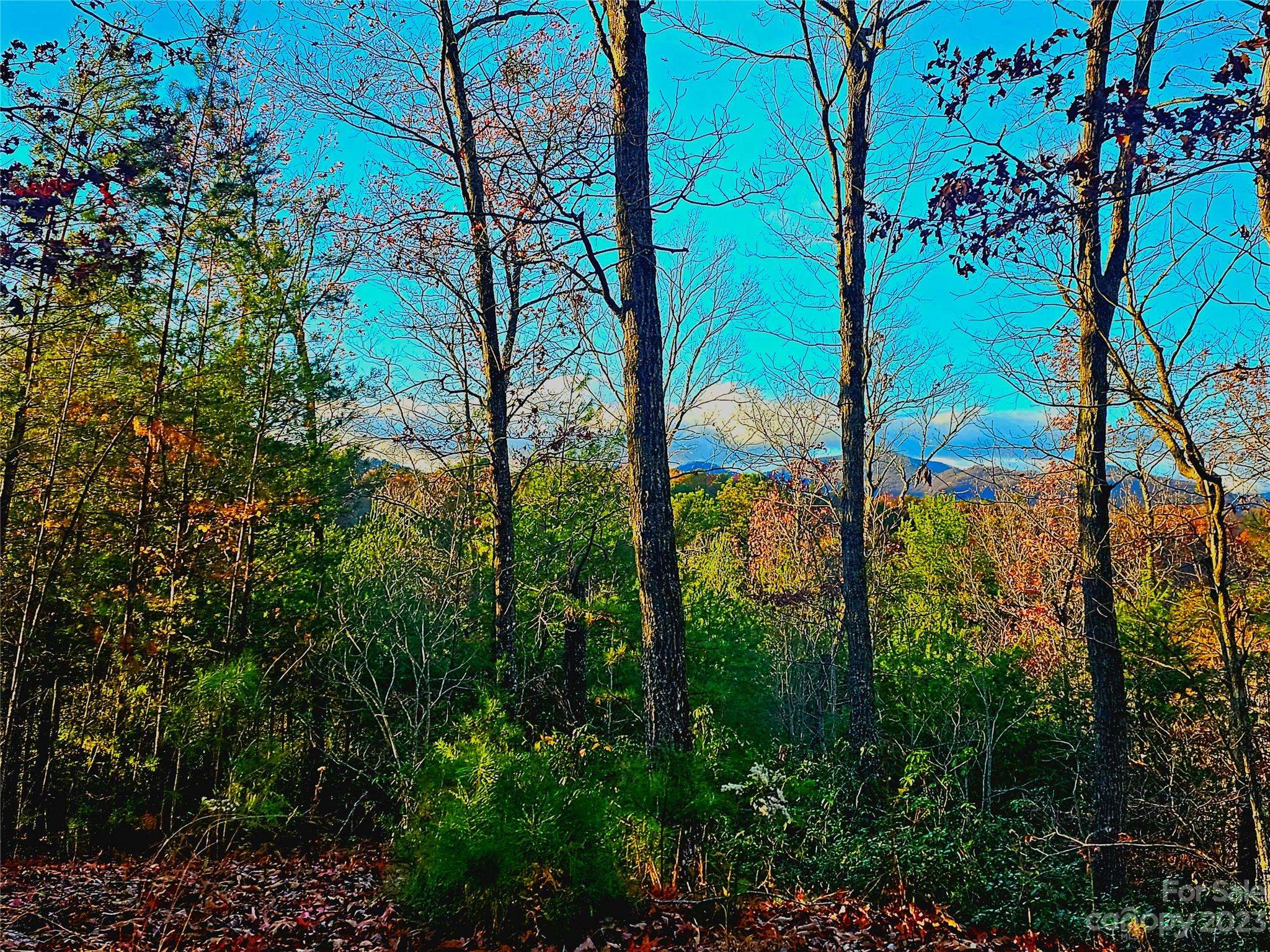 Lake Lure, NC 28746,Lot 31 Peaks DR