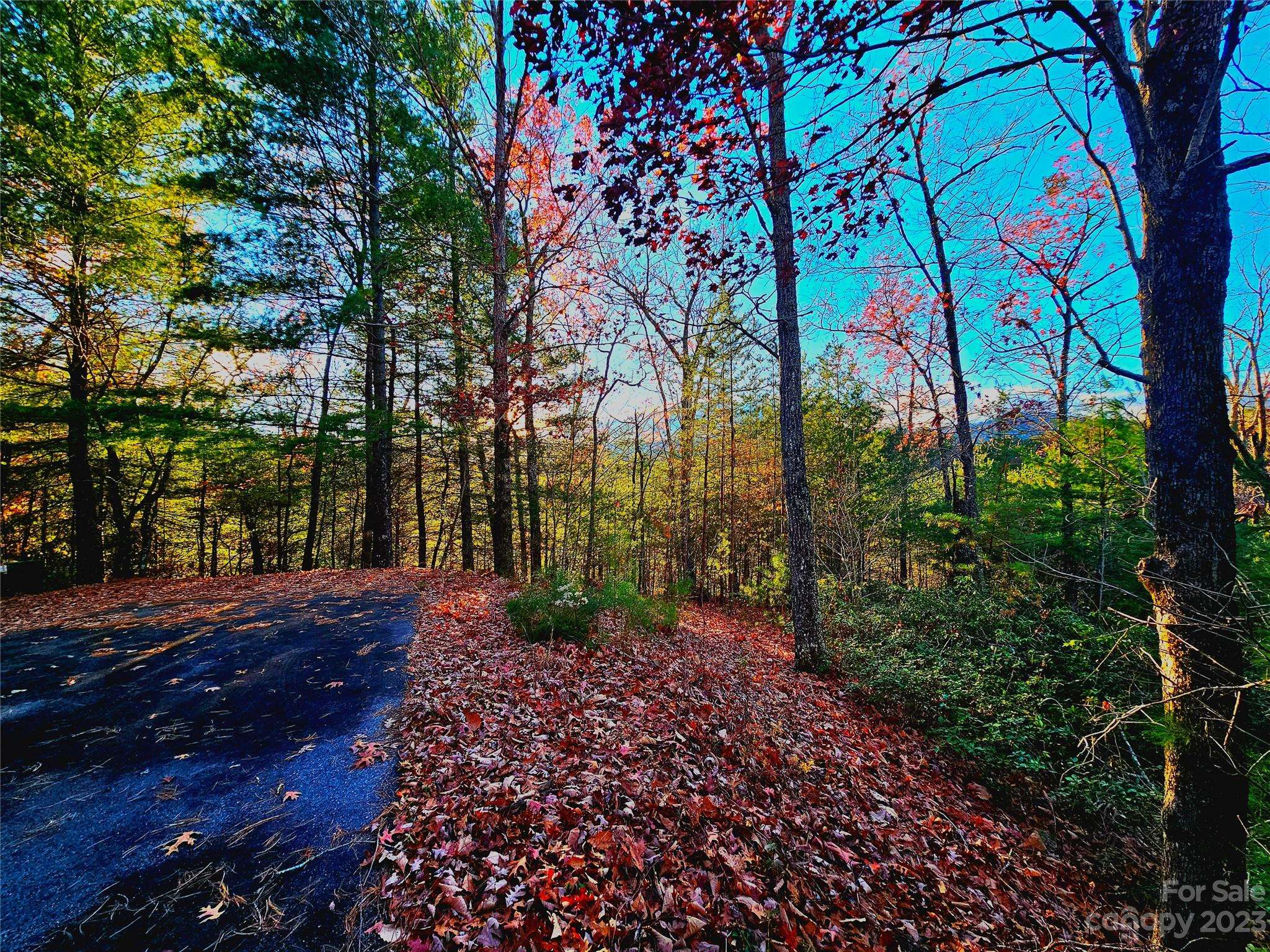 Lake Lure, NC 28746,Lot 31 Peaks DR