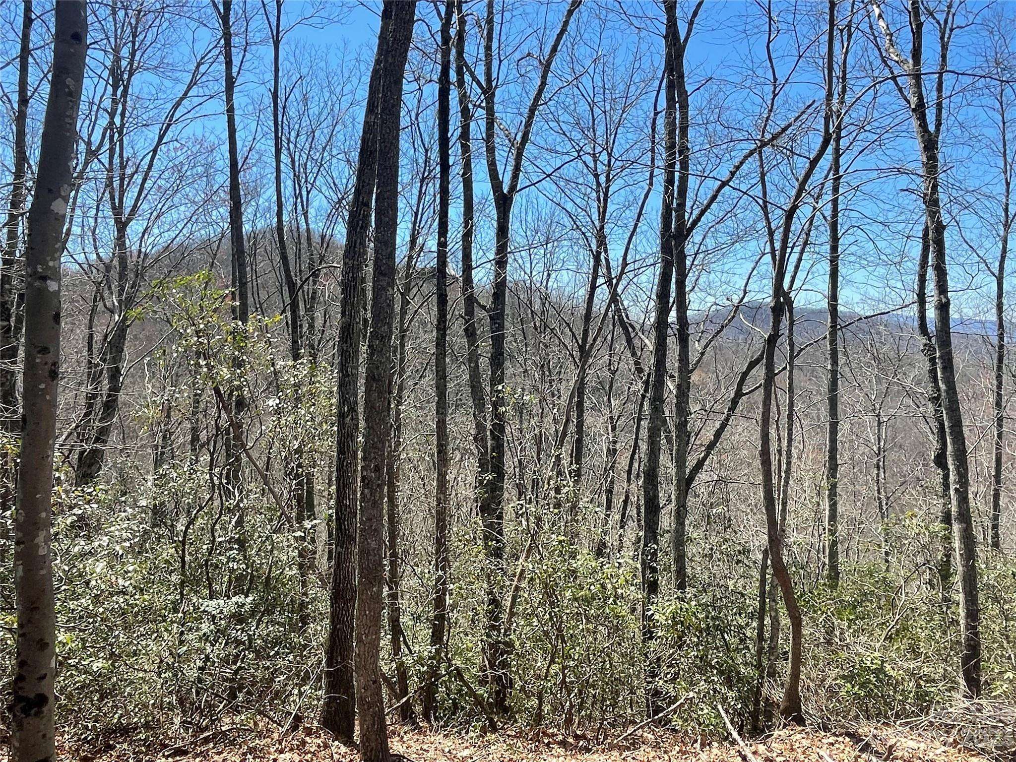 Sylva, NC 28779,91 Broomtail WAY #14