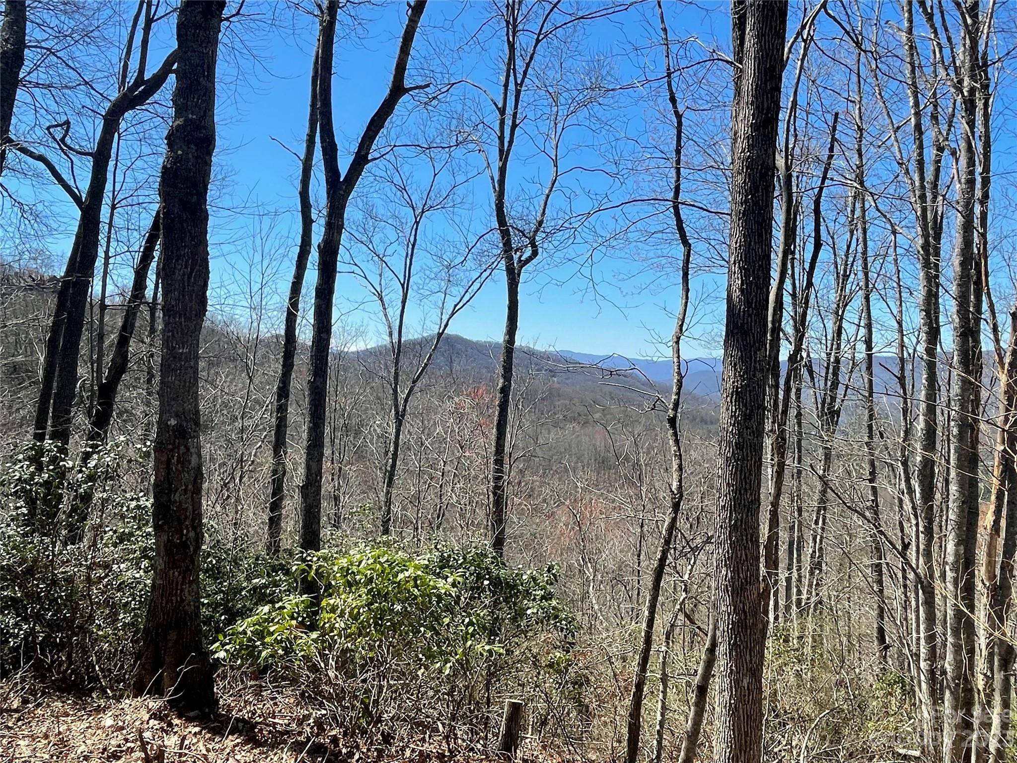 Sylva, NC 28779,91 Broomtail WAY #14