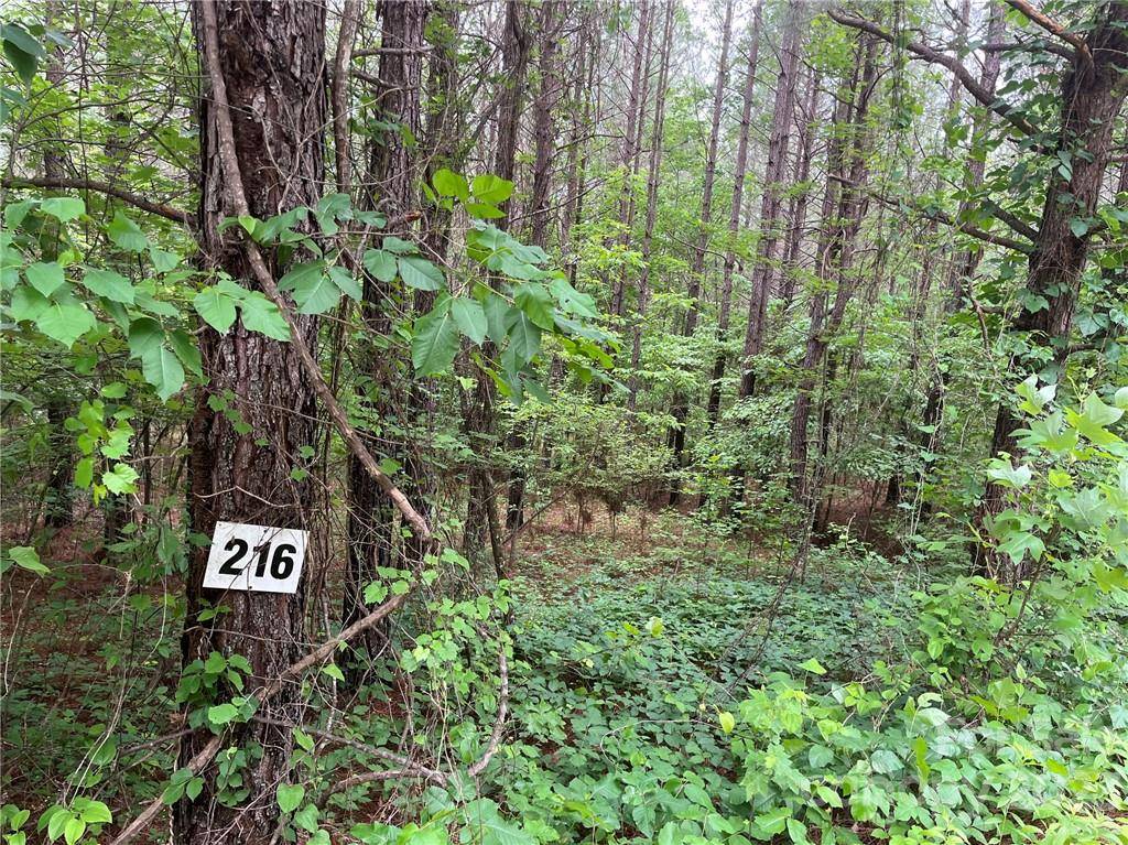 Rutherfordton, NC 28139,Lot 216 Bitteroot CIR