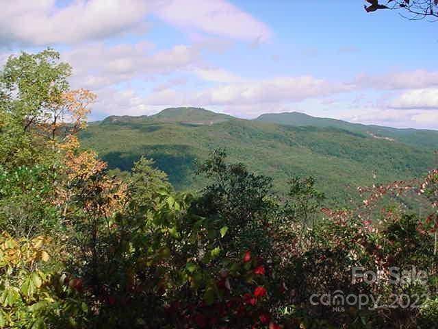 Lake Lure, NC 28746,Lot 361 Hickory Nut LN