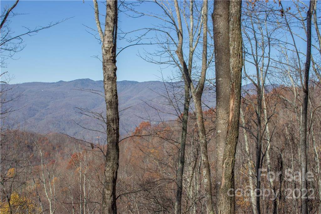 Sylva, NC 28779,Lot 70 Old Growth WAY #70