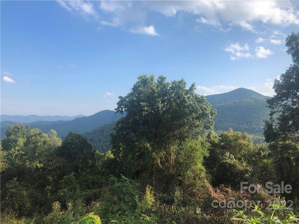 Canton, NC 28716,9999 High Rock View LN #52