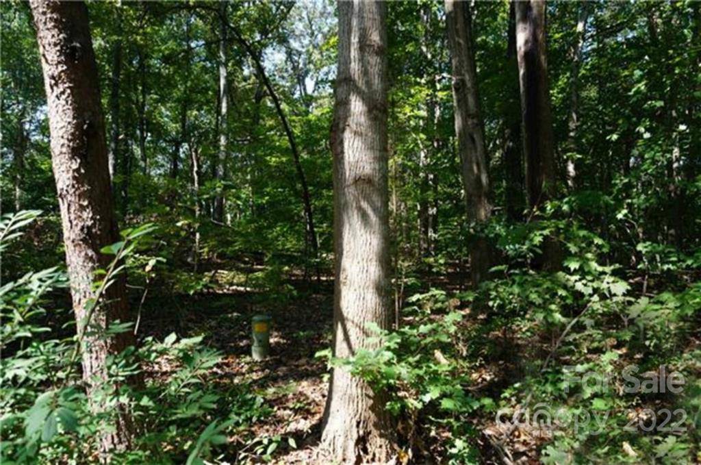 Terrell, NC 28682,3829 Mill RUN